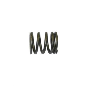 SPRING - VALVE OUTER