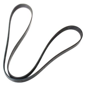 FAN BELT