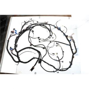 HARN-BODYF11:MULTI-SHT DW