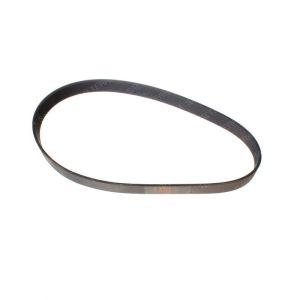 BELT - RIBBED
