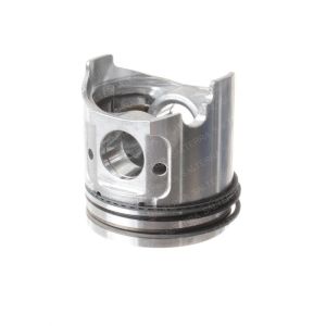 PISTON WITH RING